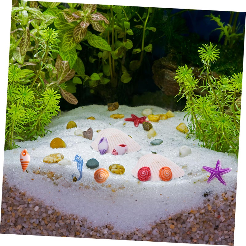 TENDYCOCO Mini Beach Seashells Sea Star Seahorse Natural Conch for Home Decorations Beach Theme Party Wedding DIY Crafts Fish Tank Vase Fillers Bonsai Decor 48pcs - Image 5